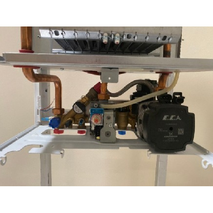 Proteus Plus Blue 24 HM
