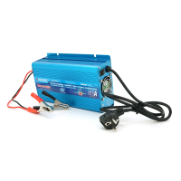 Найкращі зарядні пристрої RAGGIE для акумуляторів 12V (AGM, GEL) Найкращі зарядні пристрої RAGGIE для акумуляторів 12V (AGM, GEL)