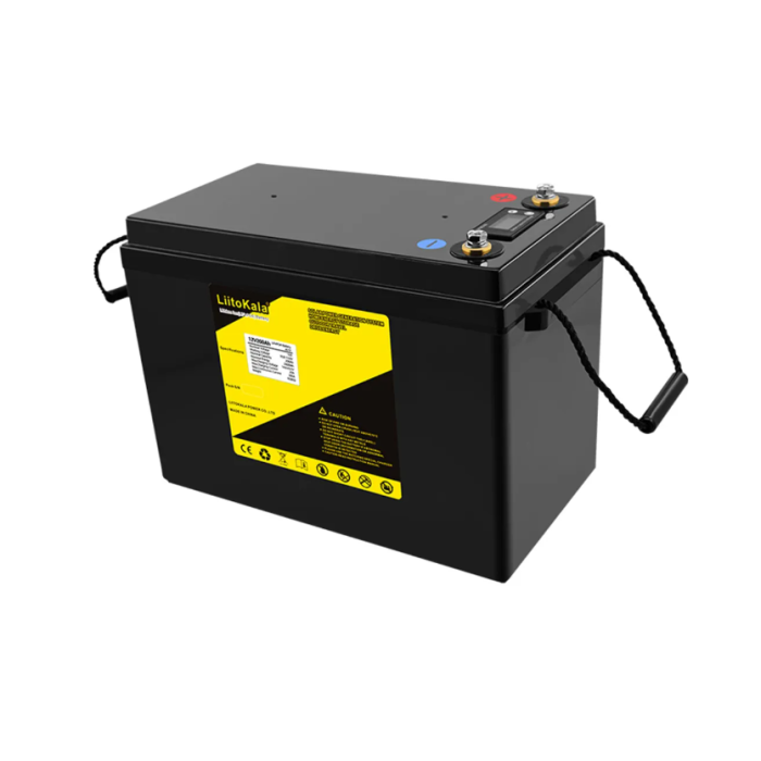 Аккумуляторная батарея LiitoKala LiFePO4 12,8V 200Ah BMS(20(100)/200A) с LCD дисплеем (355/180/245mm), 16kg