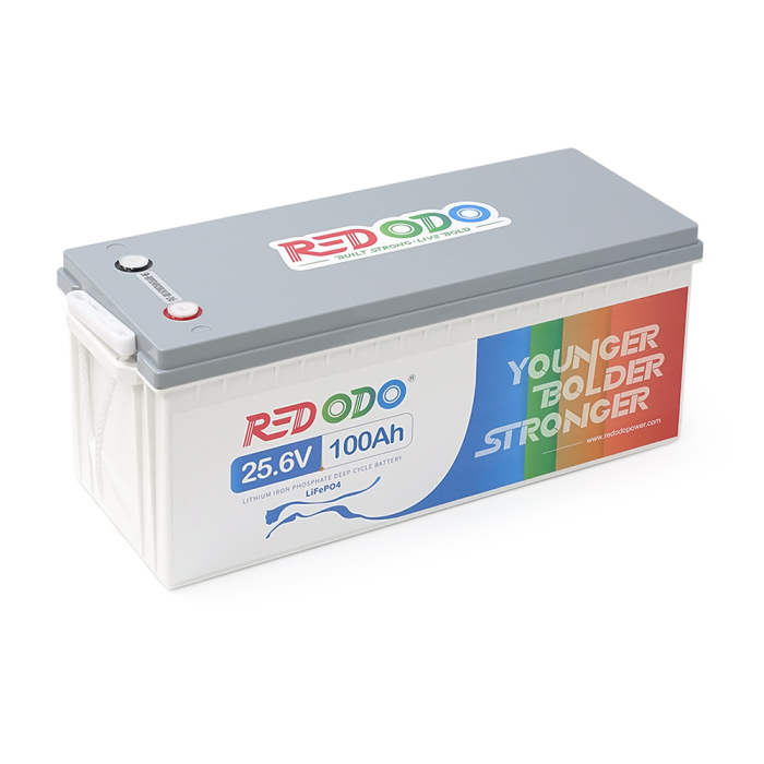 Аккумуляторная батарея Redodo 24V 100Ah 2560Wh LiFePO4 (100/100A)(532/207/215)