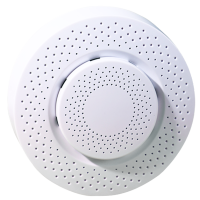 Датчик уровня угарного газа CO Tervix Pro Line Zigbee CO