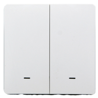 Розумний клавішний вимикач Tervix Pro Line ZigBee Push Switch (2 клавіші), без нуля